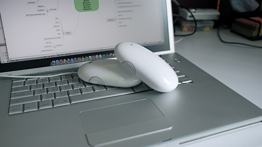 2424995848_bdb1768987_b