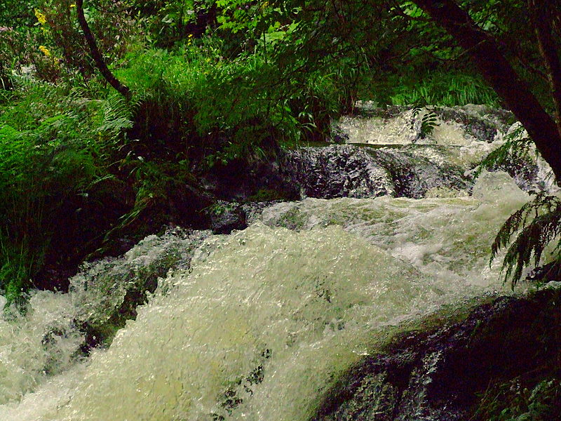 2758798183_dc78148d03_o Photo CC Flickr skittzitilby