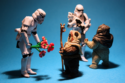 Kittens and Flowers for the Ewoks by Stéfan