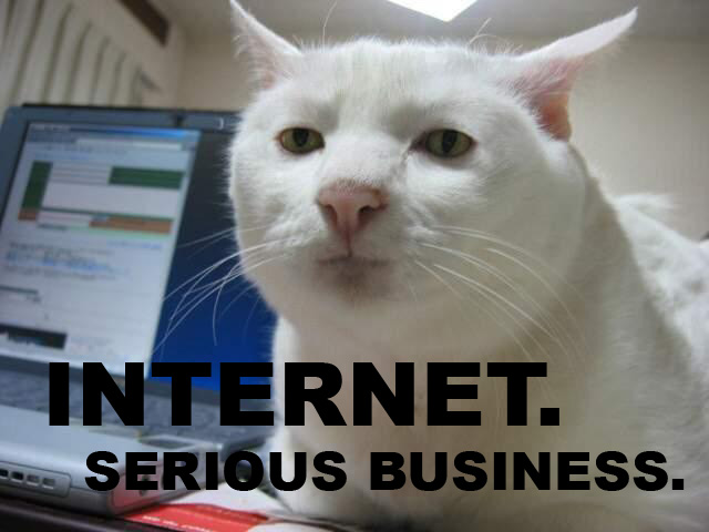 internet-serious-business-cat21