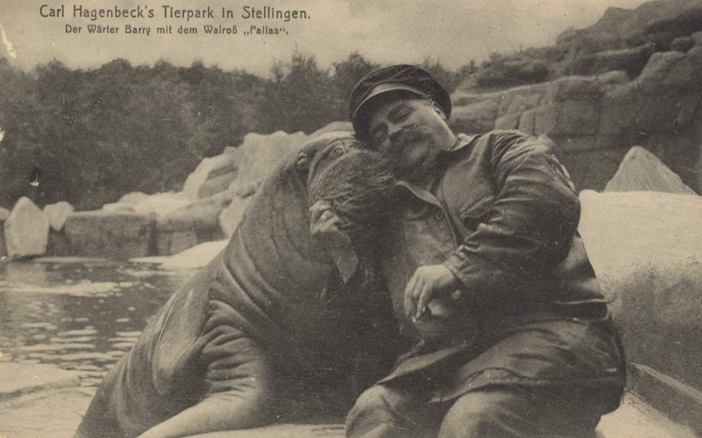 vintage-ancien-wtf-01