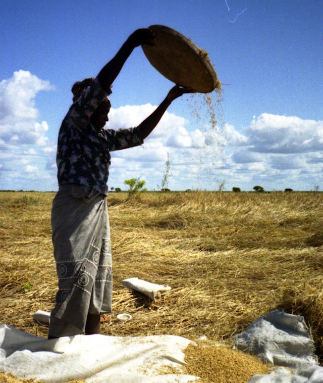 femme agricultrice