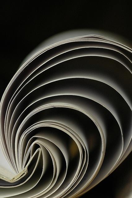 4634225947_3cf9ea7d2c_z