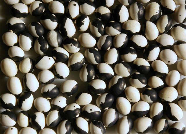 5080100891_9dccce3b83_z