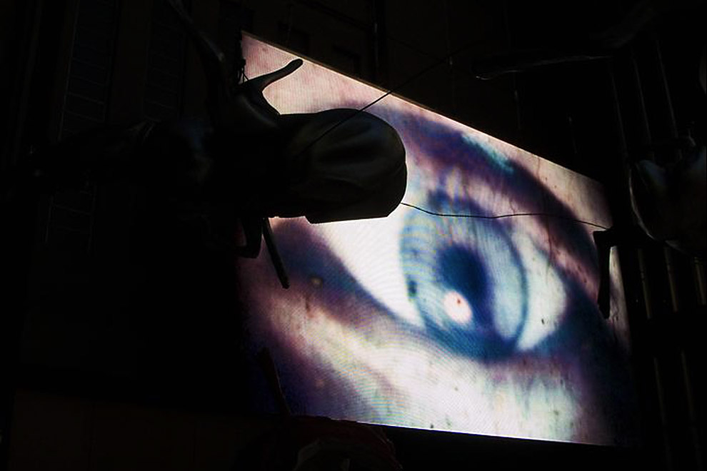 fichier-gens-honnete-oeil