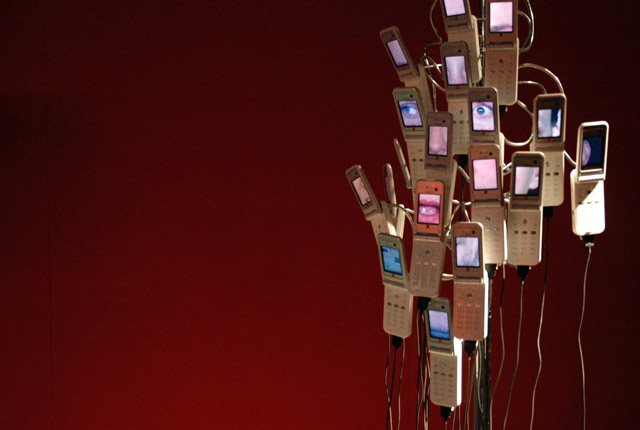 cell-phone-tree-cc-flickr-spo0nman-640px