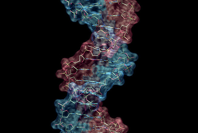 dna-adn-fichage-empreintes-650px