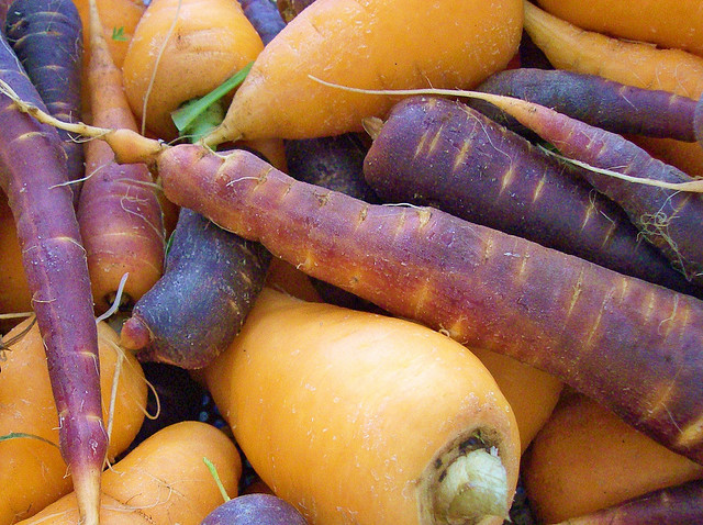 carottes-nourriture-bio-biologique-ecologie-sante-8