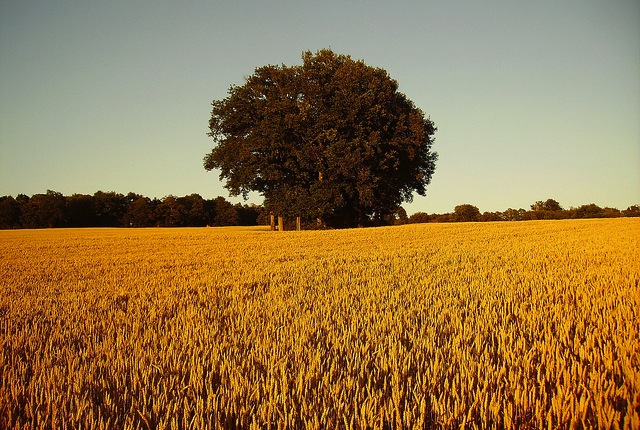 clef_uranium_bourges