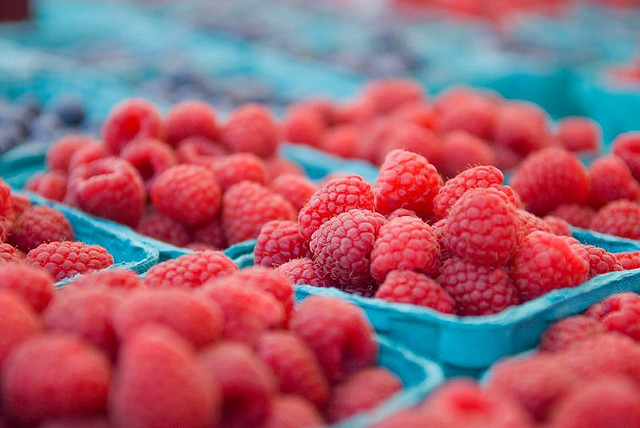 framboises-nourriture-bio-biologique-ecologie-sante-7