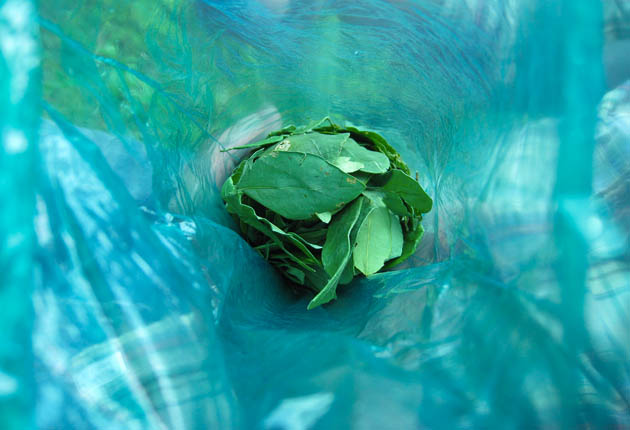 CLEF-owni-drogues-COCA-feuilles-data