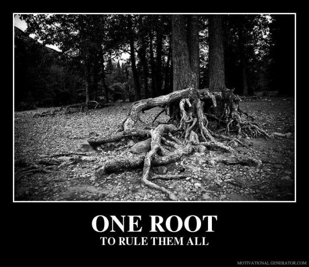 one-root-to-rule-them-all-racine_lol