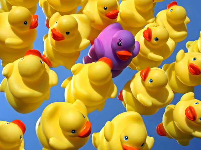 Gelungene Integration