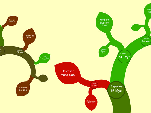 open-tree-life-2 Capture d'écran du site - OneZoom Tree of Life Explorer